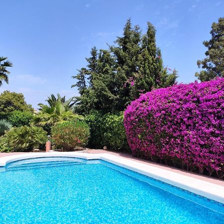 Villa With Private Pool, Bbq, Fitness Center & Sauna San Vicente Raspeig エクステリア 写真