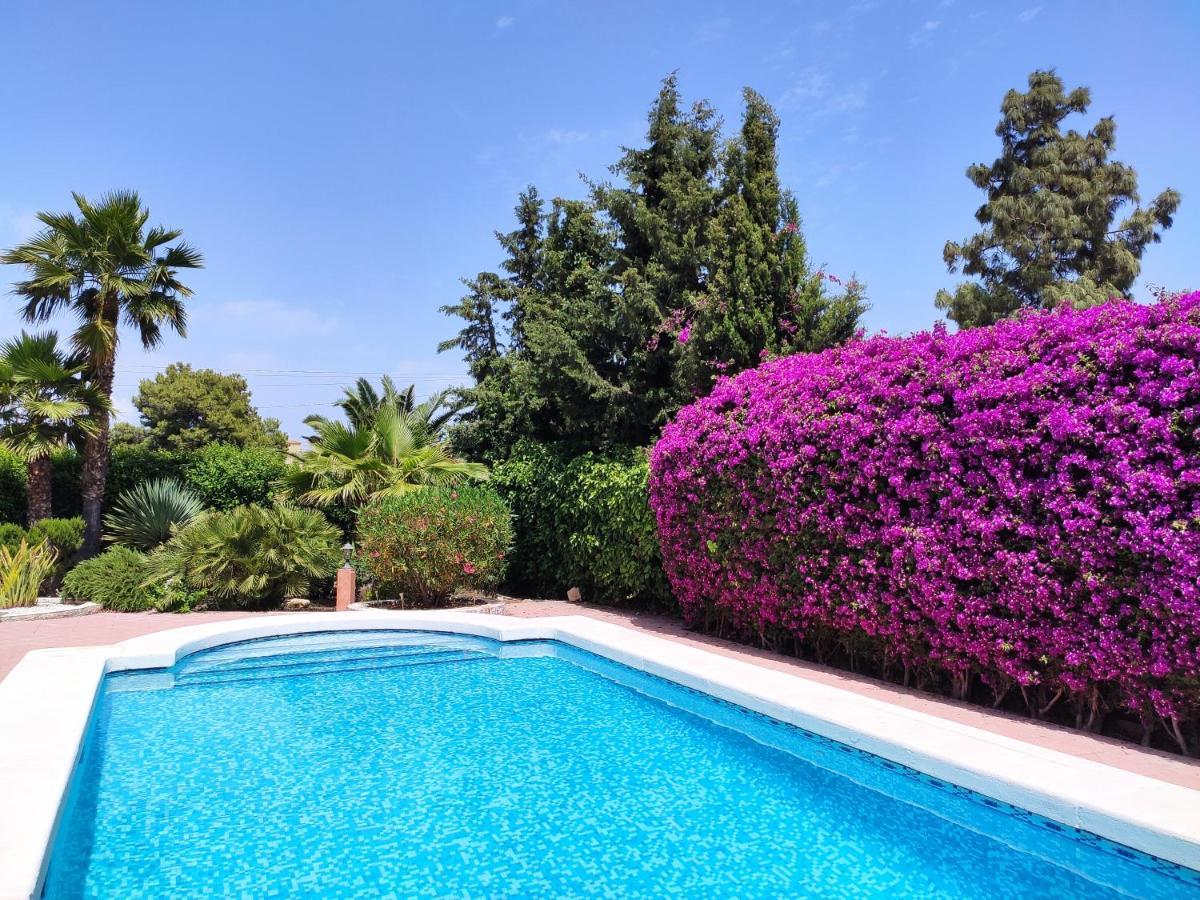 Villa With Private Pool, Bbq, Fitness Center & Sauna San Vicente Raspeig エクステリア 写真