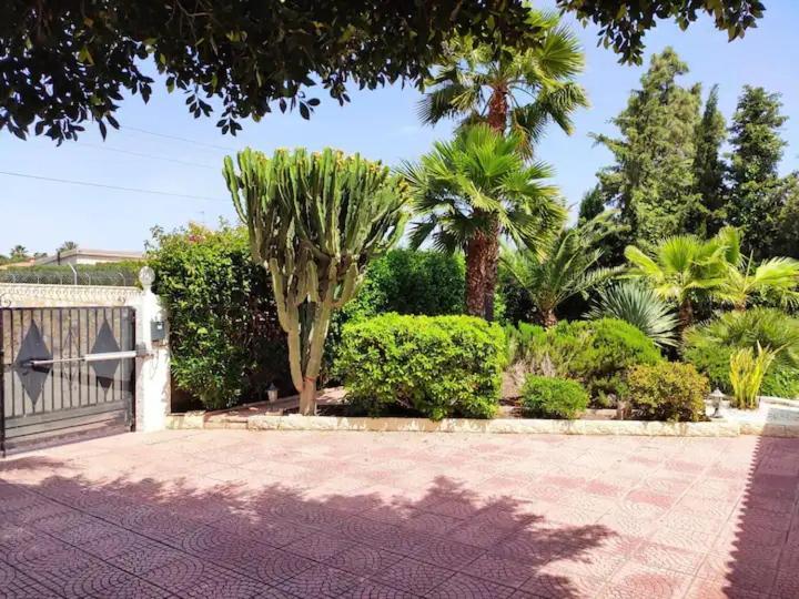 Villa With Private Pool, Bbq, Fitness Center & Sauna San Vicente Raspeig エクステリア 写真
